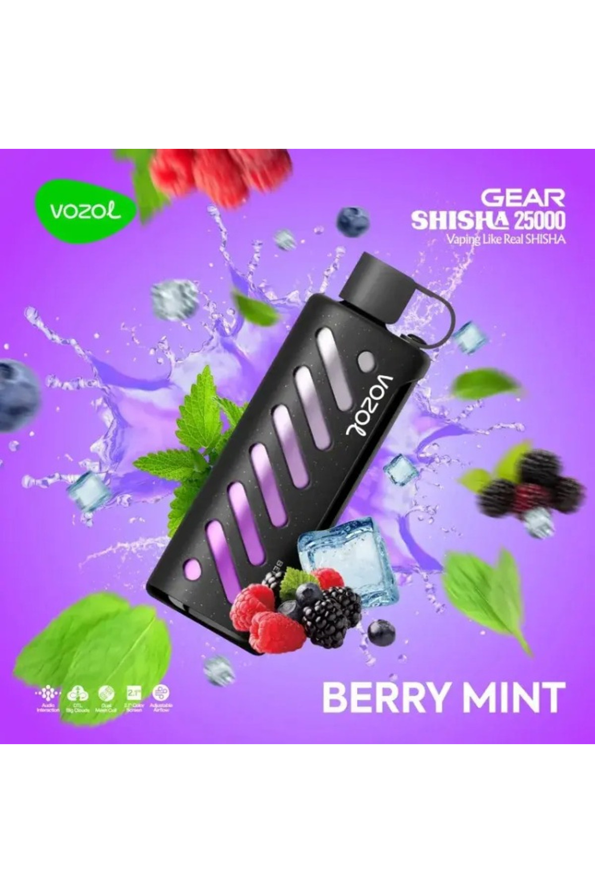 VOZOL GEAR 25000 Berry Mint