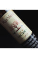 Ripe Vapes VCT Coconut (60ML) Likit