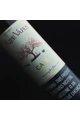 Ripe Vapes Cafe (60ML) Likit