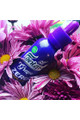 Fantasi Grape Zero (65ML) Likit