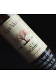 Ripe Vapes VCT Coconut Premium Likit (60ML)