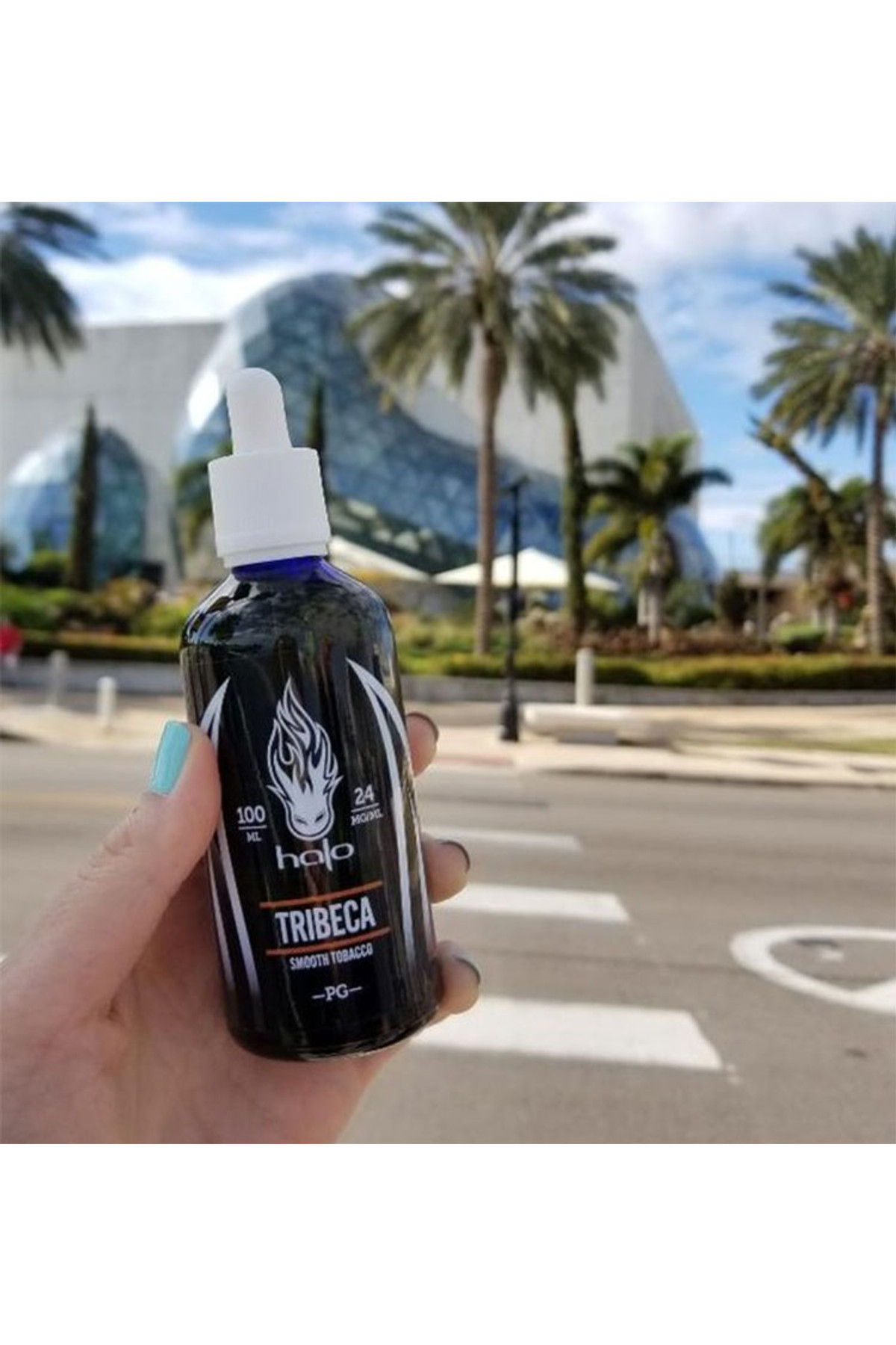 Halo Tribeca (100ML)
