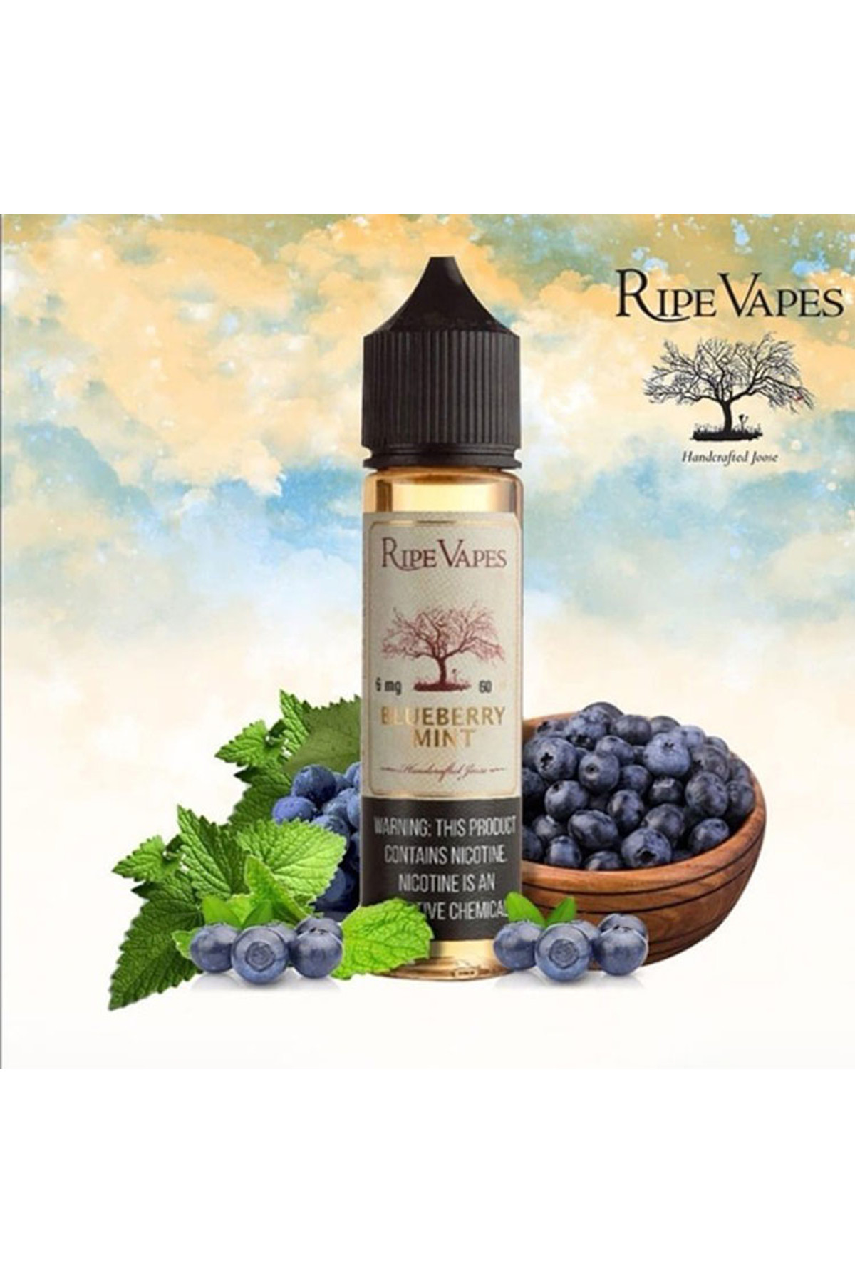 Ripe Vapes Blueberry Mint (60ML) Likit