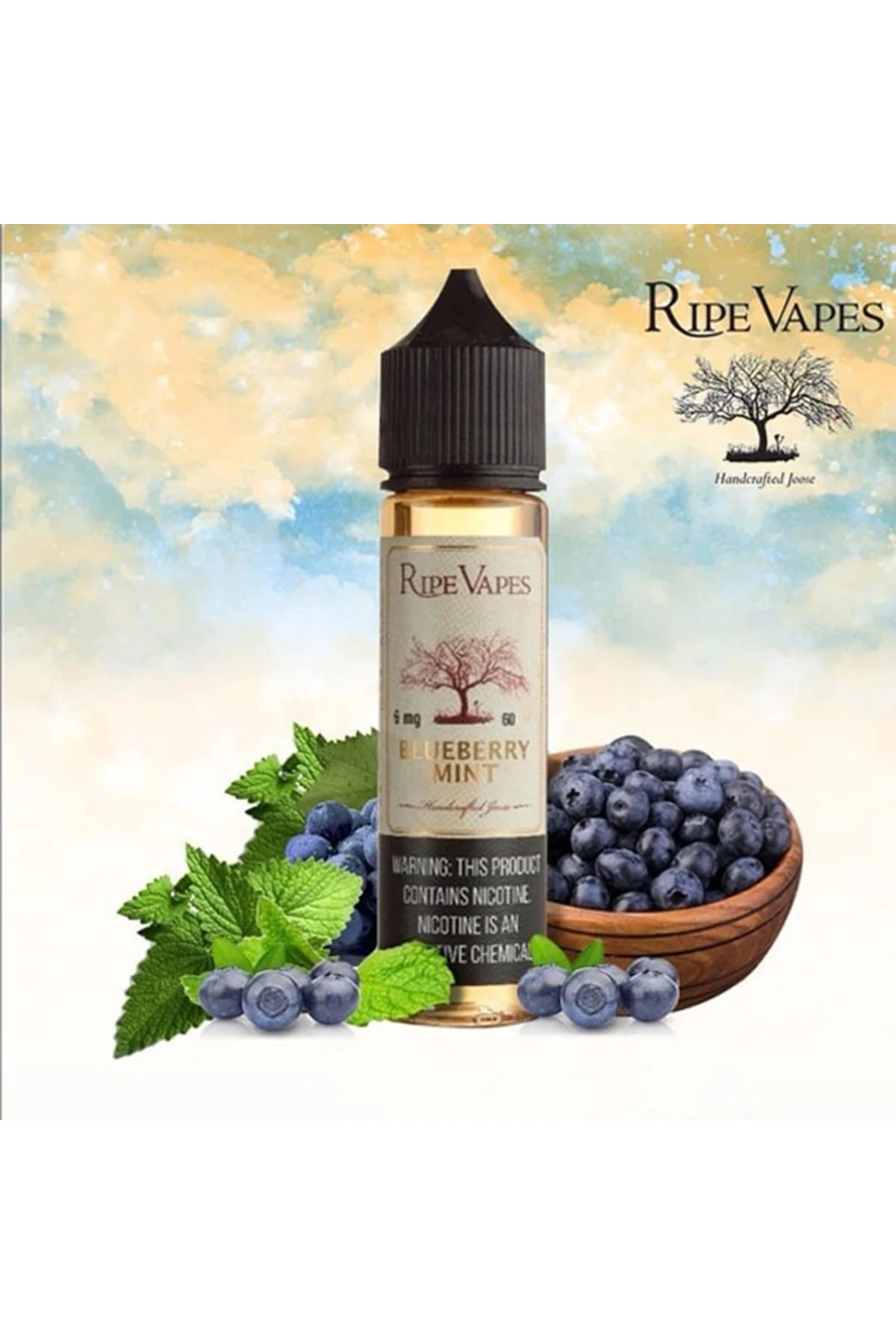 Ripe Vapes Blueberry Mint (60ML) Likit