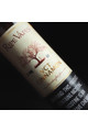 Ripe Vapes VCT Cinnamon (60ML) Likit