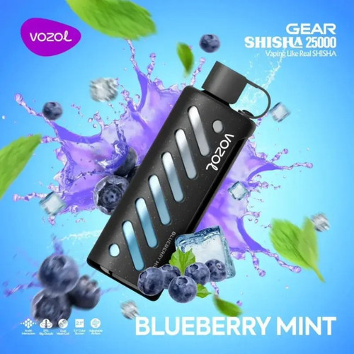 VOZOL GEAR 25000 Blueberry Mint